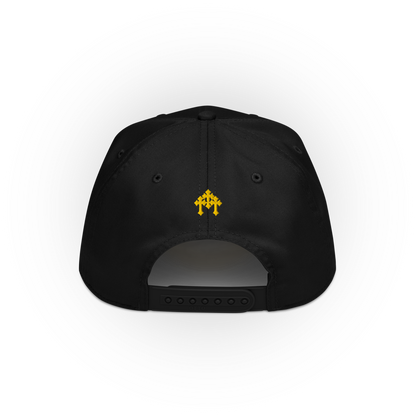 LA Snapback